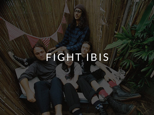 Fight Ibis